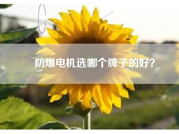 防爆電機選哪個牌子的好？