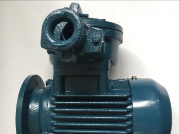 隔爆型防爆電機(jī)的結(jié)構(gòu)特點