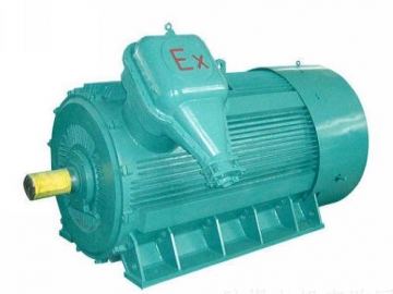 防爆電機(jī)如何出現(xiàn)掃膛、振動(dòng)、軸承過熱要怎么處理
