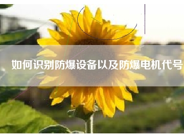如何識(shí)別防爆設(shè)備以及防爆電機(jī)代號